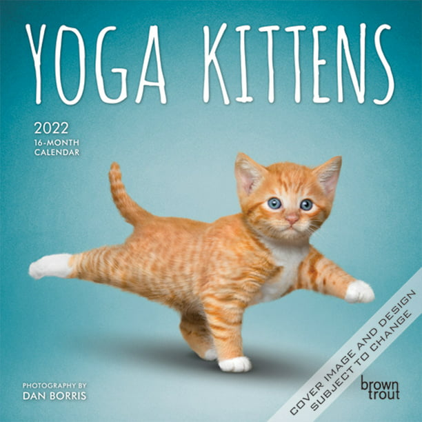 2021-2022 Kitten Cat Two Year Pocket Planner Calendar Monthly Purse Orange Tabby